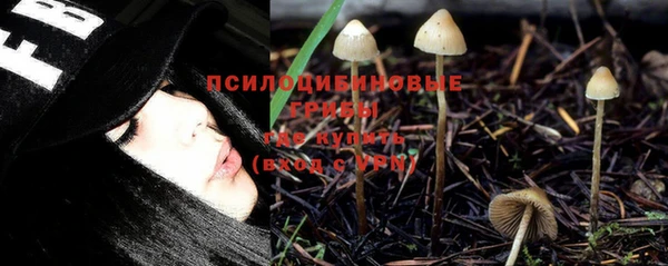 крисы Алексин