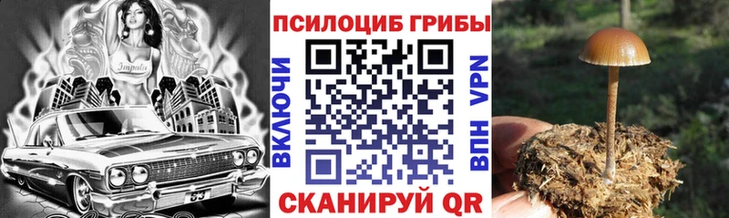 Псилоцибиновые грибы ЛСД  купить  сайты  Среднеколымск 